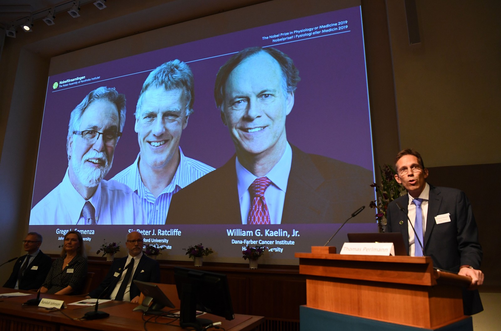 Nobel de Medicina vai para William Kaelin, Sir Peter Ratcliffe e Gregg Semenza